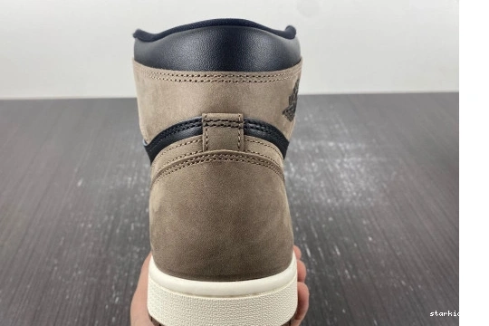 1  High Jordan  OG  Palomino DZ5485-020 Retro DZ5485-020 0427